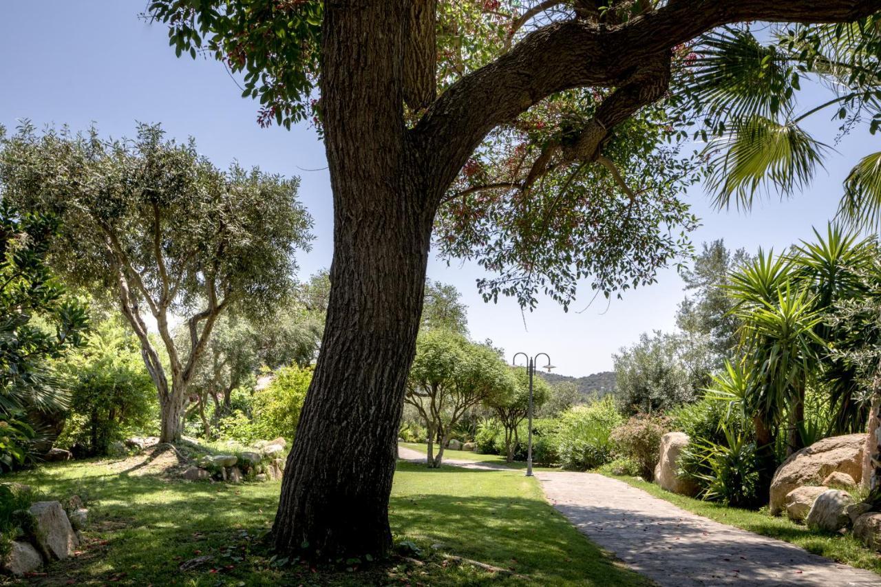 וילסימיוס Cruccuris Resort - Adults Only מראה חיצוני תמונה